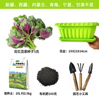 Цветочный красный амарант