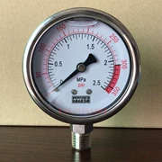 YYFLT địa chấn đồng hồ đo áp suất YN60 áp suất nước áp suất dầu thủy lực đo xuyên tâm lắp đặt đồng hồ đo áp suất 0-2.5MPA