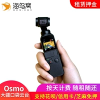 DJI DJI Lingmu Osmo Pocket Pocket Pocket Глобальный прокат камеры аренда артефакта аренда артефактов