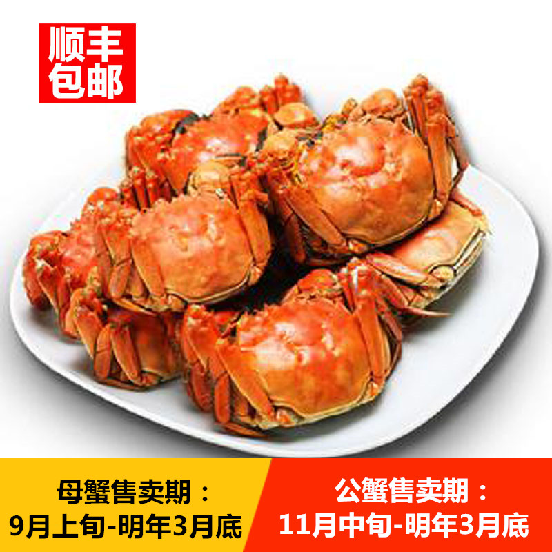 Genuine Jiangxi specialty Jiujiang Poyang Lake®Hairy crabs12Only full mother2.0Two fresh giant crabs in stock