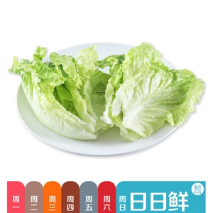 [【盒鲜锅】免洗生菜150g（日日鲜）]