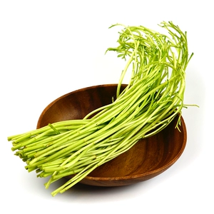 Artemisia (Artemisia annua) 250g