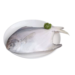 [Супер большая говядина] Bingtai Deep Sea Big White Pomfret от 400 г/шт.