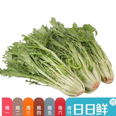 200 г укуса Chrysanthemum (Hema nikki)