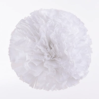 Белое большое кольцо