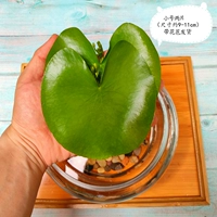 Дать два части двух кусочков из двух штук-всего 4 штук