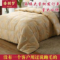 Duvet bao gồm vỏ được điền từ cuộc đua vải dây lót chống khoan xuống len lõi 80 được đặt là da mềm bán thành phẩm - Quilt Covers 	chăn phao giá rẻ