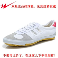 Белая волейбольная спортивная обувь