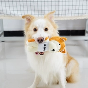 Con chó đồ chơi plush mol cắn taidijinmao puppies puppy mèo pet nguồn cung cấp vocal đồ chơi