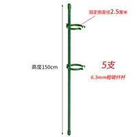 150 см в высоту [5 ветвей] дают 10 фиксированных пряжек