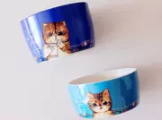 Xuất khẩu bát gốm sứ Nhật Bản chậu rửa bát mèo bát thức ăn cho mèo Mèo cần thiết hàng ngày bát gốm bát con chó