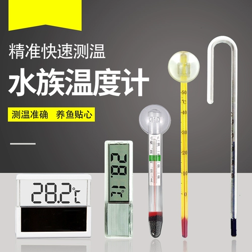 Аквариум, электронный высокоточный термометр, цифровой дисплей