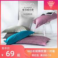 Starford khách sạn năm sao cotton 60s gối gối satin màu đơn giản cặp gối lớn - Gối trường hợp gối cao su non cho người lớn