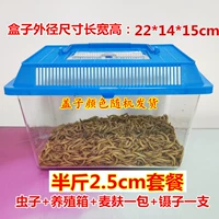 Полу -катти 2,5 см. Добавление гемолей