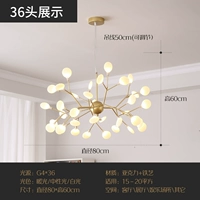 36 голов (три -корровое изменение света)