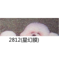 2812 (астрологический фильм)