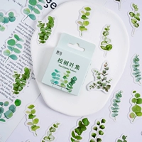 Желтые 2 коробки из 90 листьев эвкалипта