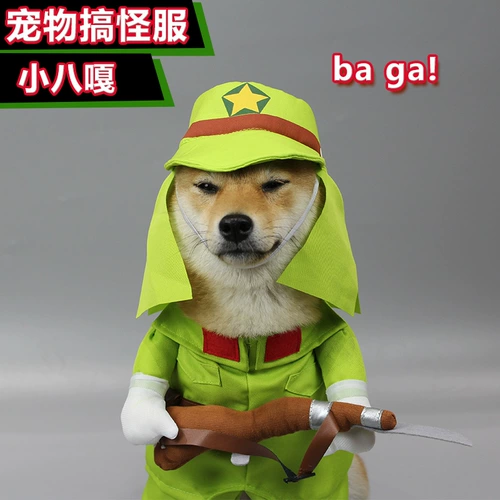 Собаки смешная одежда смешная летняя Шиба Ину Баган Тедди маленькие и маленькие собаки доставка превратилась в косплей