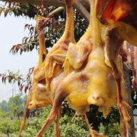 Anhui специализированный фермерский дом, придиранный курицей цельносостой курицы, Huizhou, фазан PK Hubei Specialty Bacon свиная свиная свинина