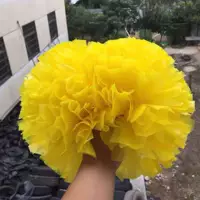 Лимон желтый