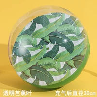 Прозрачный лист бананы (30 см)