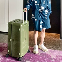 Авокадо зеленое спортивное издание