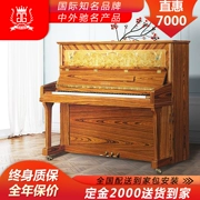 Áo Grieg piano ốc sên cao cấp thủ công piano dọc mới dành cho người lớn mới bắt đầu chơi chuyên nghiệp - dương cầm