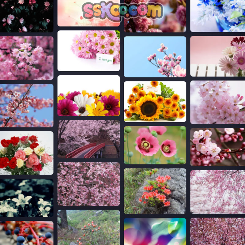 花卉鲜花插图特写照片风景电脑壁纸高清4K摄影图片设计背景素材