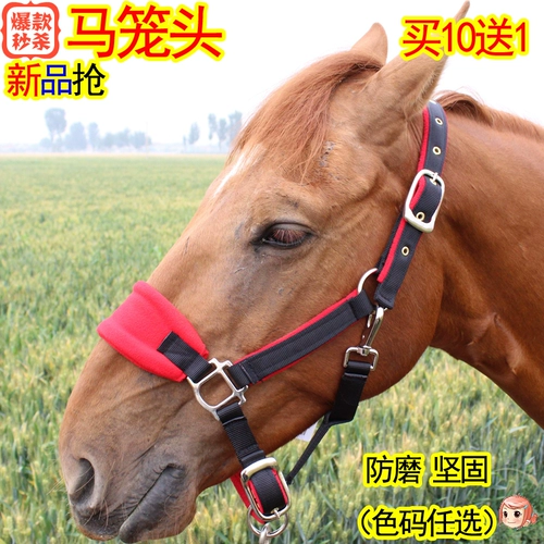 Малайзия -Глобоподобная антипинчащая подкова голова Полный комплект припасов лошадей, небольшой размер короткий конной кран 10 Получите 1 бесплатно