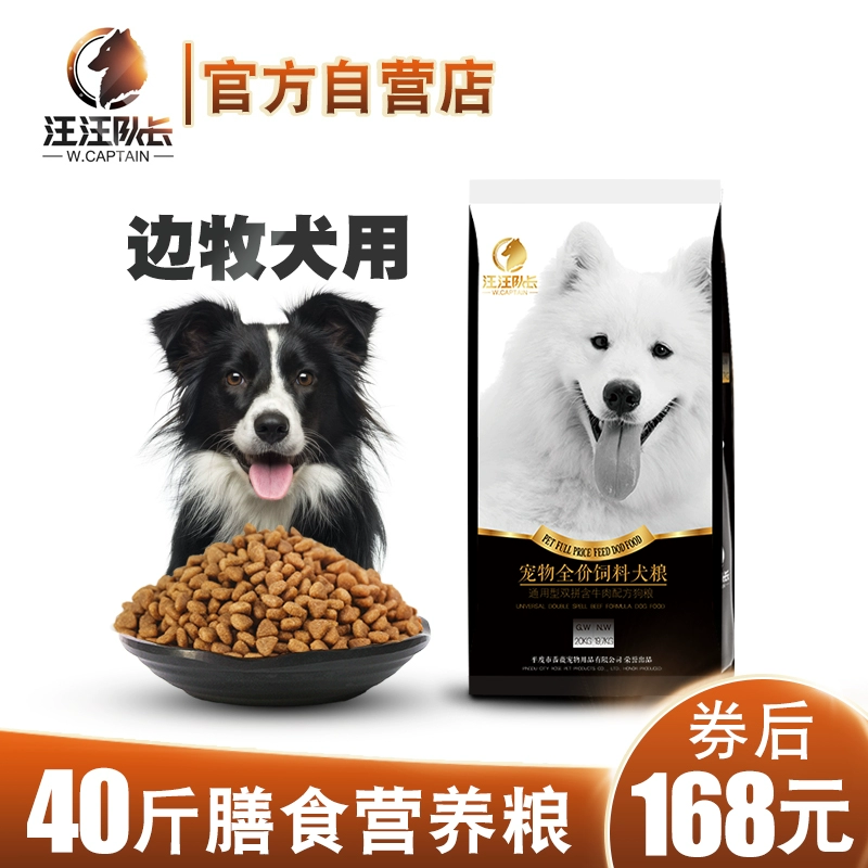 Thức ăn đặc biệt dành cho chó Bianmu 40 kg tải 20kg chó con collie biên giới chó trưởng thành loại chó thông thường loại trung bình và lớn - Chó Staples