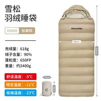 Сосновая конус Браун-XS600