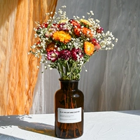 20 Ананасовые хризантемы полны звезды+коричневая бутылка
