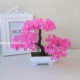 【Yunsong Model Pink】