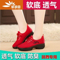 Giày khiêu vũ vuông nữ 2018 mới mùa hè mềm mại với mặt lưới nhảy hoa cúc Bắc Kinh giày vải nữ giày khiêu vũ - Khiêu vũ / Thể dục nhịp điệu / Thể dục dụng cụ giày khiêu vũ nhập khẩu