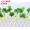 Mô phỏng cây nho hoa giả trang trí hoa lá nho nho xanh ống trần nhựa mây xanh lá giả - Hoa nhân tạo / Cây / Trái cây
