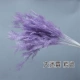 Шесть -фарковые шифрование фиолетового тумана 加