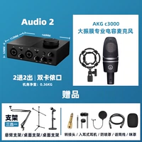 Audio2+ C3000 Полный набор подарков