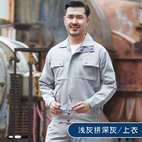 Светлый серый удар глубокий пепельный топ