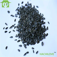 Закуски Hammel Black Pearl Seeds, золотые шелковые медведи, маленькие черные семена дыни с семенами, семена тыквы, масла с закусками, семена подсолнечника, птичья продукты, семена сырой дыни.