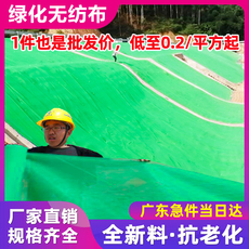 Геотекстиль 园林绿化无纺布土工程布草坪绿化边坡盖土防尘工地护坡保湿覆盖膜