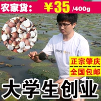 2020 Новые товары Zhaoqing Red Leather Tanna, полуоткрытая рисовая куриная головка Rice Легко готовить 400G