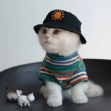 Симпатичная одежда для кошки летняя анти -фур -корень -bear -bear skunar собака