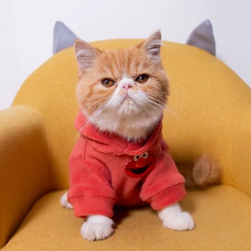 Демисезонный удерживающий тепло пуховик, милый шнурок-держатель, толстовка, популярно в интернете, осенний сезон