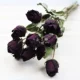 10 черных роз