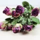 10 холодных роз красоты (маленькие цветы маленькие)