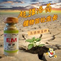 Экологическое растение