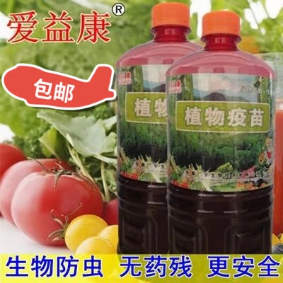 Растение вакцина гнилой корень мертвых рассады