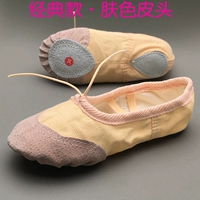 Классическая кожа кожи кожи