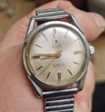 Швейцарский Луз Луз смотрит