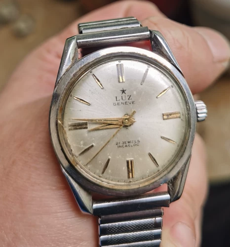 Швейцарский Луз Луз смотрит